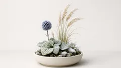 寒波に負けない耐寒性宿根草10選、春に咲く庭をつくる冬越しの基本