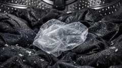 洗濯機にプラスチック袋を入れると毛と静電気は減る？仕組みと注意点をやさしく解説